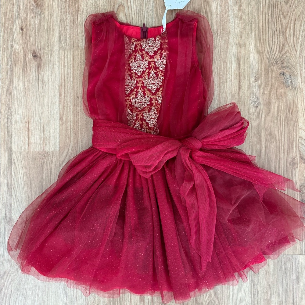Luna luna red tutu dress